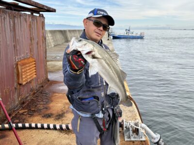<p>ハネ研会長　福山様　沖の北　エビ撒き釣りでハネ11尾 & チヌ2尾🎣　撮影後リリース🐟</p>