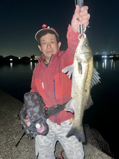 <p>ミラクル宮崎様　中波止② メンボーでハネ55.5cm🎣</p>