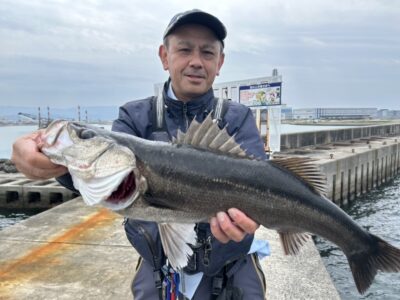 <p>ハネ研会長　福山様　沖の北　エビ撒き釣り　ハネ71cm🎣　ハネダービー暫定1位🥇</p>
