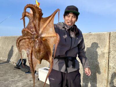 <p>今シーズン絶好調のにったこ様　沖の北　にったこゾーン（奥の方の外向き）で大ダコ1.8kg！！！自己新おめでとうございます！</p><p>今シーズンの大ダコ一番乗り♪これからは朝ショアジギしてからのタコ狙いがおすすめです♪</p>