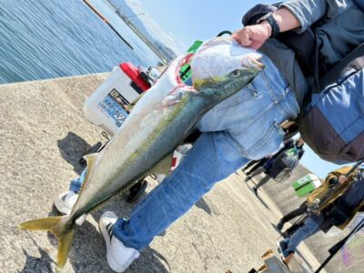 <p>月曜やけど木曜釣り倶楽部　H様　沖の北　ウキ飲ませ釣りでブリ！10時半頃にヒット！</p><p>前半は両サイドの釣座が埋まっていたのでウキはできなくて胴突＆エレベーター。9時便で帰った人の分スペースができたのでウキに変更したそうです。</p><p>隣の方のブロックに仕掛けは入れないでください！流されたら回収して入れ直す！たまに飲ませの仕掛けを沢山入れてまわりに迷惑をかけてる人を見かけます。気をつけましょう！1人で来るとウキ釣りは釣りにならないですよ。</p><p>3人で来て3ブロック並びで取る→3ブロック内でローテーションしながらウキを流すはありですね。</p>
