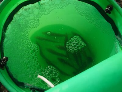 <p>沖の北先端内向き　5時頃は入れ食いくらいで小アジが釣れたようです。オイルフェンス付近では釣れてませんでした。最近アジの釣果はかなりムラがあります。</p><p>アジを確保するなら4時半便で渡ってすぐやったほうがいいんですが、青物の時合いとも被るので…。</p>