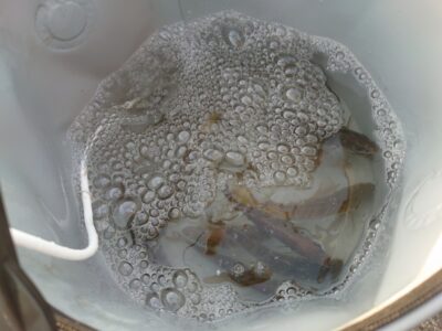 <p>沖の北　先端内向き　最近アジはかなりムラがあって全然釣れない日もあるんですが、今日は5〜6時頃で小アジが沢山釣れてました♪</p>