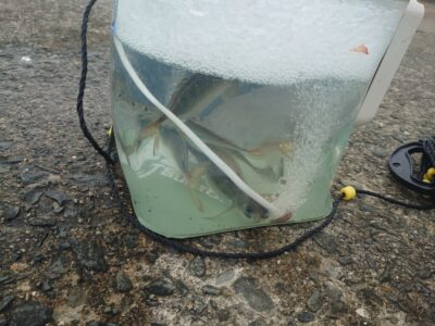 <p>沖の北　船着〜オイルフェンス内向き　今日はよく釣れてました。日ムラがかなりあるのでショアジギメインで、アジが釣れれば飲ませって感じで。</p>
