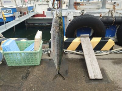 <p>沖の北　今日はサゴシもぼちぼちかかってました♪</p>