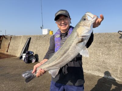<p>杉浦様　沖の北　ぶっ込み(釣れたサッパの切り身)  スズキ80cm🎣</p>