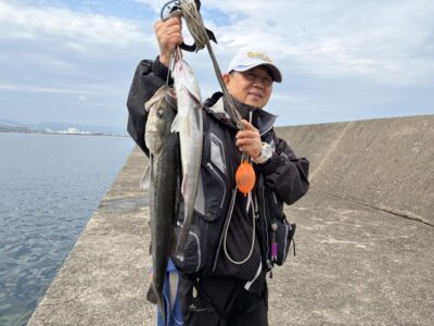 <p>川原様　旧一文字赤灯　エビ撒き　ハネ60.2cmまで2匹🎣</p>