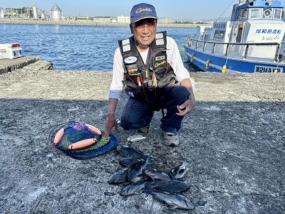 <p>森のみっちゃん　旧一文字赤灯　のべ竿フカセ釣り　堤防際1ヒロ程のタナ探りグレ9尾🎣　</p>