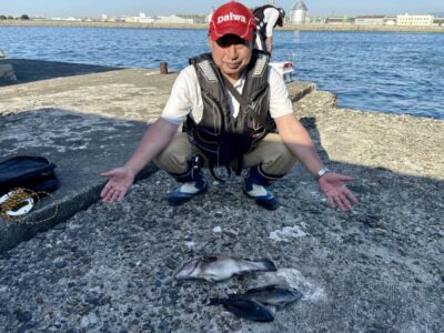 <p>フュージョン三宅様　旧一文字赤灯　フカセ釣りでコブダイ&グレ🎣　コブダイの刺身は弾力があって美味しいそうですよ🐟</p>