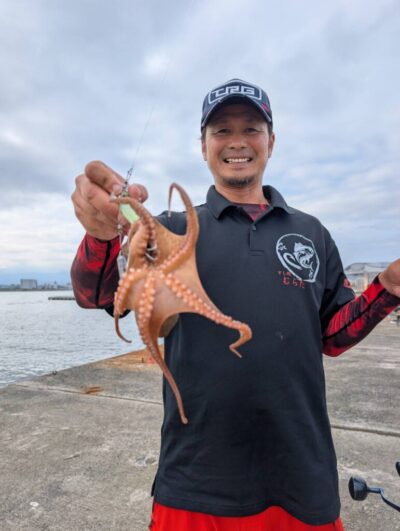 <p>すし処むらた🍣様　沖の北　タコエギで新子タコ🐙</p>