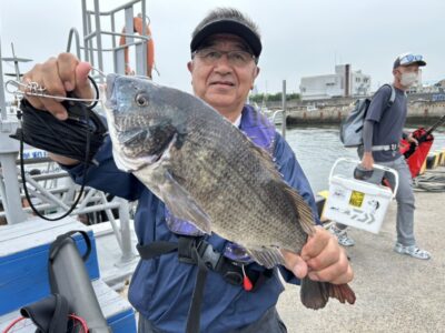<p>泉州ズボ研会長　杉浦様　沖の北　ズボ釣りでチヌ49.5cm！餌は現地調達のサバ</p>