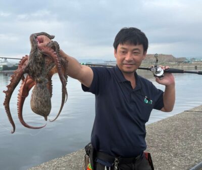 <p>痛風船長　中波止2番外向き遠投　アズーロ・蛸電（タコベイト+イワシ油）で大ダコ1.65kg🐙</p><p>内向きでも良型釣れました♪「やっと釣れました。嬉しいんですが、それよりも足が痛い…。」</p><p>※中波止2番3番外向き、近めで漁師の仕掛けが入ってました。外向きは遠投メインで探って、10mくらいのとこまで来たら回収してください。内向きは大丈夫です。旧一文字も外向きに仕掛けが入ってました。ブイが浮いてる時は気をつけてください。</p>