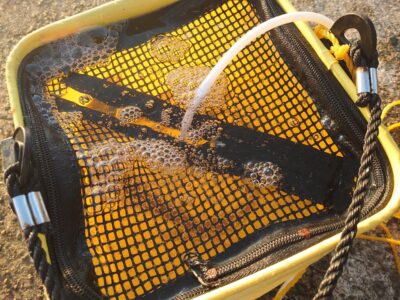 <p>沖の北　オイルフェンス周辺内向き　足元サビキ　今日もかなり渋め。小アジ3匹と豆アジ。サッパも飲ませに使えますので、弱りやすいですが一応キープしといてください。</p>