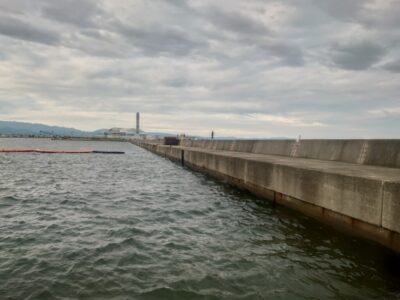 <p>タコ釣りの方が多くなって今日ショアジギは5人だけ…。釣れないわけではないんですが流石にここまで人が少ないと釣果も出にくい…。船着き前の方サワラがかかったそうですが足元でバラしてまったそうです。</p>