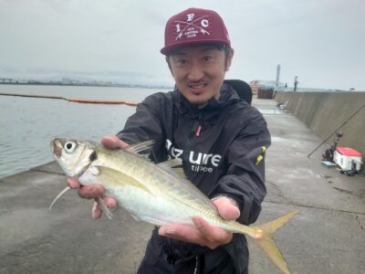<p>となり様　沖の北内向き　飛ばしサビキで43cmの大アジ！！！8時50分にヒット！</p>