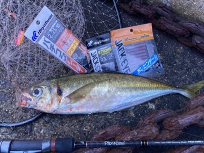 <p>釣れない猫様　沖の北　ハヤブサ製バチコン仕掛けでアジ42cm❗️GETですにゃ〜🎣</p>