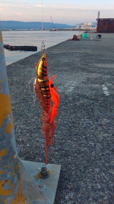 <p>杉さん。様　沖の北　アズーロ・蛸電で新子タコ🐙ワーム乗っけチューン♪</p>