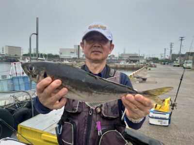 <p>川原鮮魚店様　別撮り　大アジ44cm！</p>