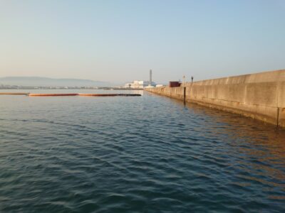 <p>沖の北　苦潮っぽくはないんですが、なんか釣れない。触ってくるけど乗らない。</p><p>継ぎ目も20カ所ほど打って1つだけ。昨日はタコエギで調子良かったんですけどね…。</p>