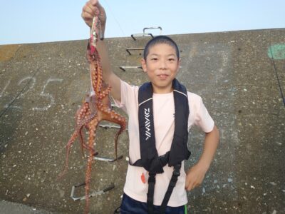 <p>世界のショウタマン様 旧一文字カーブ外向き タコエギで良型タコ🐙</p>