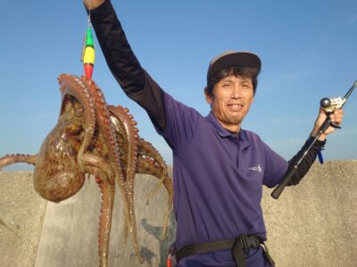 <p>にったこ様　沖の北　タコエギで良型タコ1.1kg🐙</p>