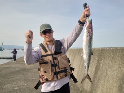 <p>初心者アングラー様　沖の北　ショアジギでサゴシ！7時頃にヒット！</p><p>ツバスも釣ってました♪お連れさんはメジロを足元でバラし…。</p>