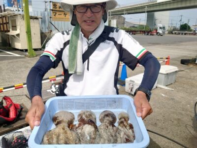 <p>かずや様　旧一文字3番〜4番周辺　タコエギで新子〜良型タコ🐙</p><p>今日は朝の時合いに満潮が重なって渋いようでした。釣れるんですけど数が伸びない…。こういう時は潮が下げた時の時合いを待つって感じなんですが、暑さもあってなかなか…。</p>