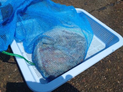 <p>釣れちゃうタマ　旧一文字赤灯内向き　竿下タコジグでタコが沢山入ったネットが釣れました♪</p><p>久だこさんが落としたやつ。ひもがちぎれたそうです。今日はネットが破れてたか破られたかで10匹脱走された方もいました。</p><p>先日はバケツとロープを繋いでるプラスチックのスナップが割れて、バケツごとリリースした方も…。</p><p>気をつけましょう！海に浸ける場合は洗濯ネットに入れてからバケツに入れた方がいいですよ。</p><p>個人的にはバケツを持って釣り歩いて、ある程度釣れたらクーラーに入れる方がよいかと思います。</p>