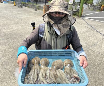 <p>竹村様　中波止③ タコエギで良型タコ🐙</p>