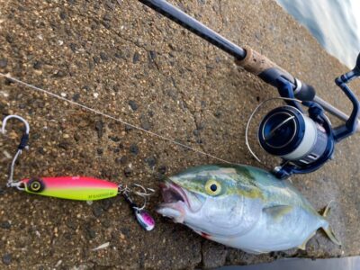 <p>釣れない猫様　沖の北　マキマキ未発売カラーで青物小🎣</p>