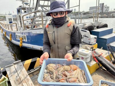 <p>マツキチ様　旧一文字赤灯〜③ タコエギで良型タコ🐙</p>