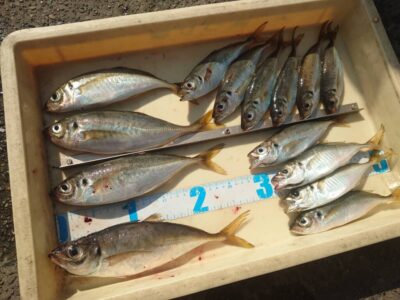 <p>徳山様 沖の北外向き エビ撒き釣りで中アジ！竿2本先、タナは底からちょい上。</p>