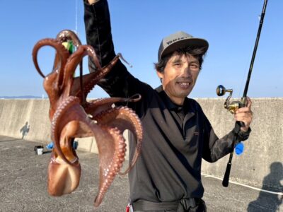 <p>にったこ様 沖の北内向き タコエギで良型タコ🐙アタリは少ないようです。昨日から苦潮気味だったんですけどエギで釣れてるのでそんなにきつい苦潮でもない。継ぎ目でも少し拾えてました。</p><p>旧一文字もかなり渋いようでした。白灯外向きエビ撒きで根魚が全く釣れてなかったので旧にも苦潮がまわってるみたい。ただガッチョとかは浮いてなかったので微妙な苦潮。</p>