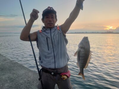 <p>ミラクル宮崎様 沖の北内向き 飲ませ釣りでチヌ！この後外向き飲ませでアタリがあったんですがエイ…。</p>