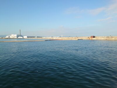 <p>沖の北 エビ撒きでガシラが釣れていたので今日も苦潮はないようです。</p><p>昨日沢山いたカタクチベイトはほんのちょっとだけ。旧と沖の間くらいでサゴシが飛んでたんですけど…。昨日と海の感じが全然違う…。</p>