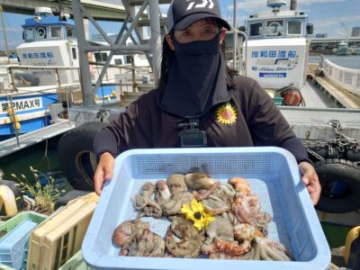 <p>岸一のムードメーカーひまわり🌻様　沖の北　ケーソン継ぎ目で新子タコ🐙</p>