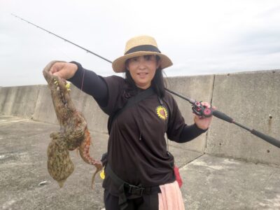 <p>ひまわり🌻様 沖の北内向き タコエギで良型タコ🐙</p><p>継ぎ目でポツリ、タコエギでもポツリ…。</p>