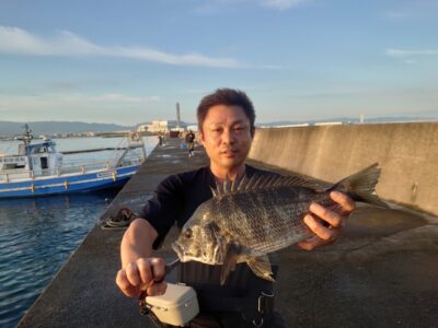 <p>ちょんまげ食堂釣り部パール高田様 沖の北 落し込み（カニ）でチヌ！ルアー・豆アジ飲ませでも狙えますよ♪</p>