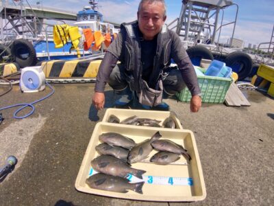 <p>フュージョン三宅様 沖の北先端内向き ヌカ切りで29cmまでのグレ大漁！太ってて美味しそう♪岸一のグレ美味しいのでぜひ狙ってみてください！</p><p>沖も旧赤灯も日によって外が良かったり内が良かったりします。釣れない時は釣座を変えてみてください。</p>