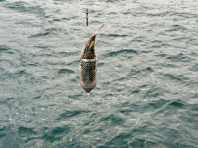 <p>肝やん様　沖の北　サビキ釣りのドンブリでフグ奇跡キャッチ🐡</p>