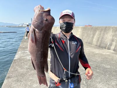 <p>泉州コブ研会長　ハルヒサSP様　沖の北　かぶせ釣りでコブダイ65cm🎣　撮影後🐟リリース</p>
