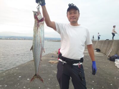 <p>岡田様  沖の北 ショアジギでサワラ86cm！5時半頃にヒット！</p>