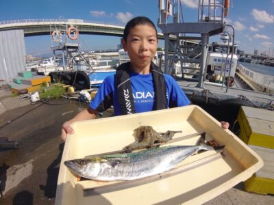 <p>世界のショウタマン様  沖の北 ショアジギでサゴシ！タコエギでタコ🐙</p>