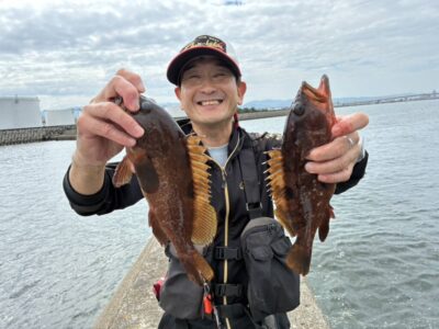 <p>金沢様 旧一文字 エビ撒き釣りでアコウ！</p>