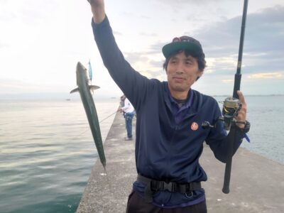 <p>にったこ様 沖の北 ブレードジグでサゴシ！今日も5時半頃からポツリポツリ釣れ始めてました。</p>