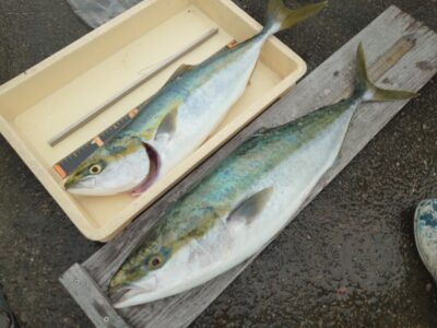 <p>よしなが様  沖の北 飲ませ釣り  8時頃にメジロ！10時40分にブリ！</p>
