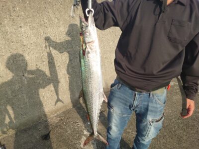 <p>顔出しNG様  沖の北  ジャッカル湾岸ミノーの重た短いやつ  7時半に底から巻上げでヒット！</p>