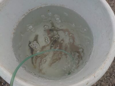 <p>沖の北内向き 先端からけっこう奥の方まで釣れてました。明るくなるまで釣れにくいことがあるので集魚灯はありかも。</p>
