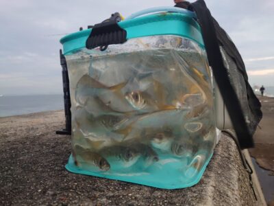 <p>沖の北内向き 今日は暗い時間から釣れてみたい。底からちょっと浮いていたようです。明るくなるとサバが増えます。</p>