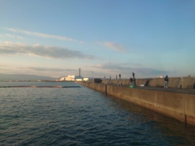 <p>【沖の北】7時</p><p>★今日も朝タチ釣れてました！4時便で渡ってすぐに釣れていたみたい。高活性で入れ食いってわけではないようですが、5時半頃まででいい人5〜8本。0とか1の方もいましたけど…。先端から奥の方まで確認できました。6時頃にルアーでも2つ。</p><p>★青物はサゴシが数匹、6時すぎに底から巻上げでサワラ1、メタルバイブ表層でサワラバラし1</p><p>★アジは先端から奥の方までどこでも釣れてました。</p>